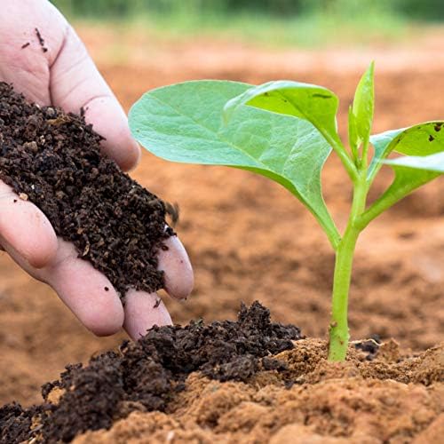 Organic Vermicompost - Image 2