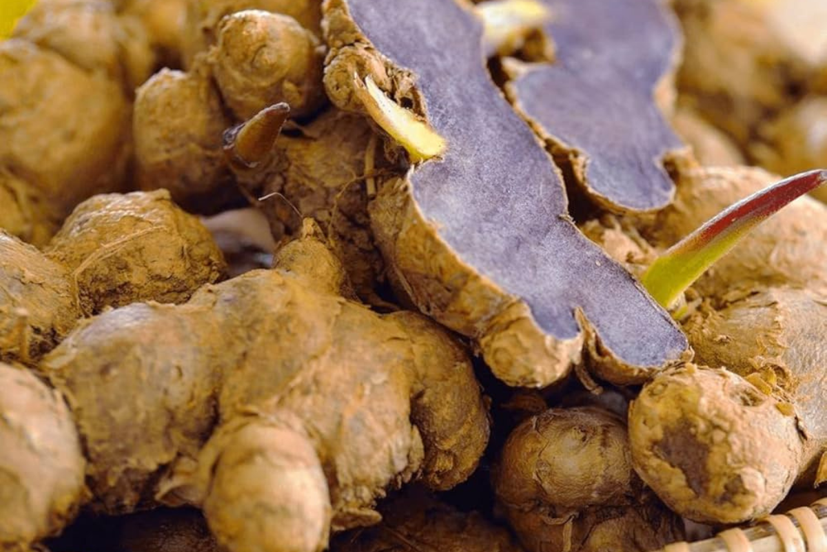 Black Ginger