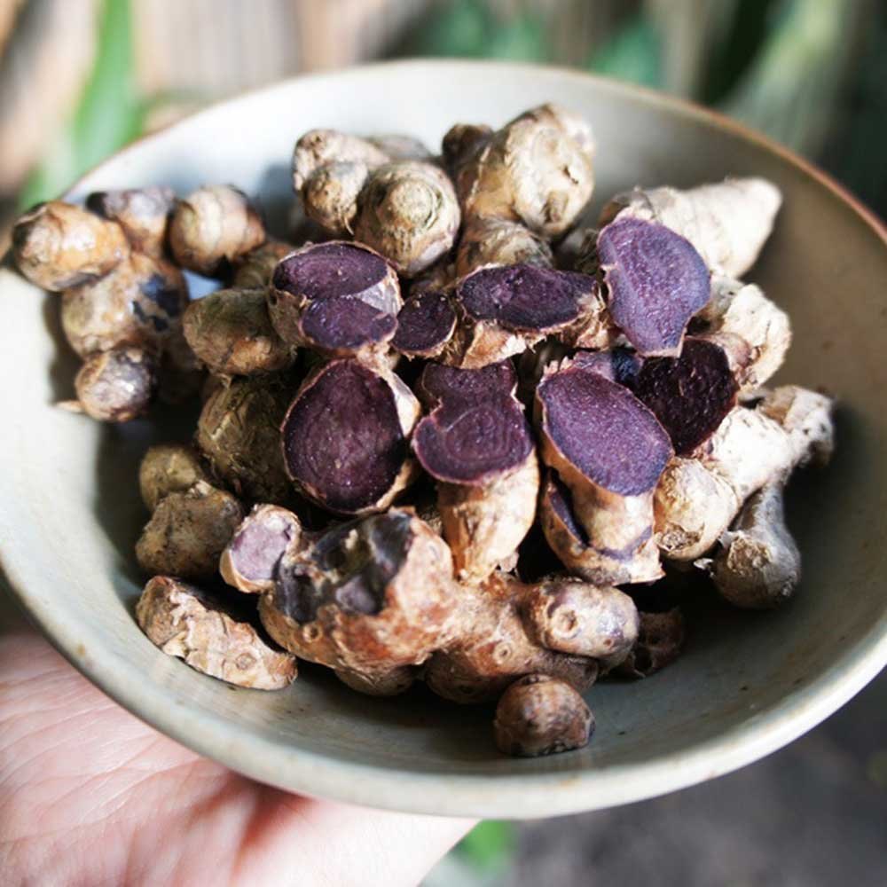 Black Ginger - Image 2