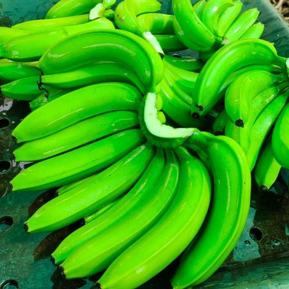 Green Banana - Image 2